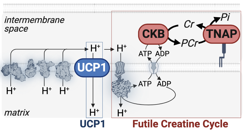 Screen Shot 2023-04-19 at 10.24.13 AM